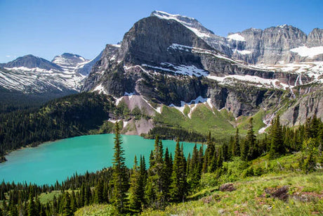 June Park Spotlight: 5 National Parks Perfect for Early Summer Adventures