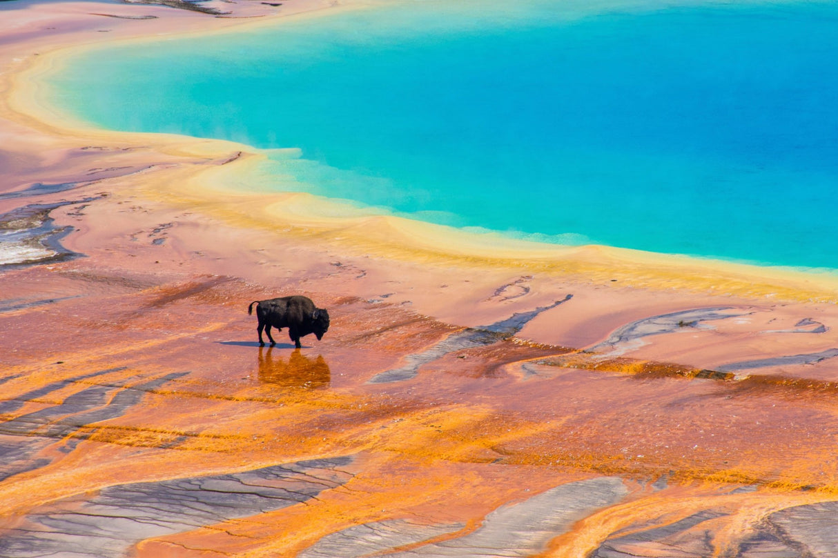 America the Beautiful National Park Pass - US Park Pass