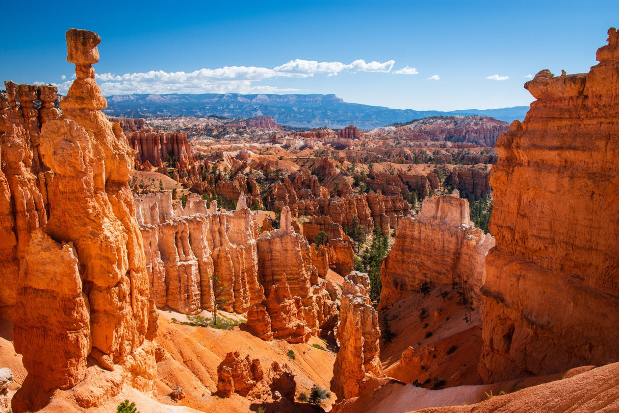 America the Beautiful National Park Pass - US Park Pass