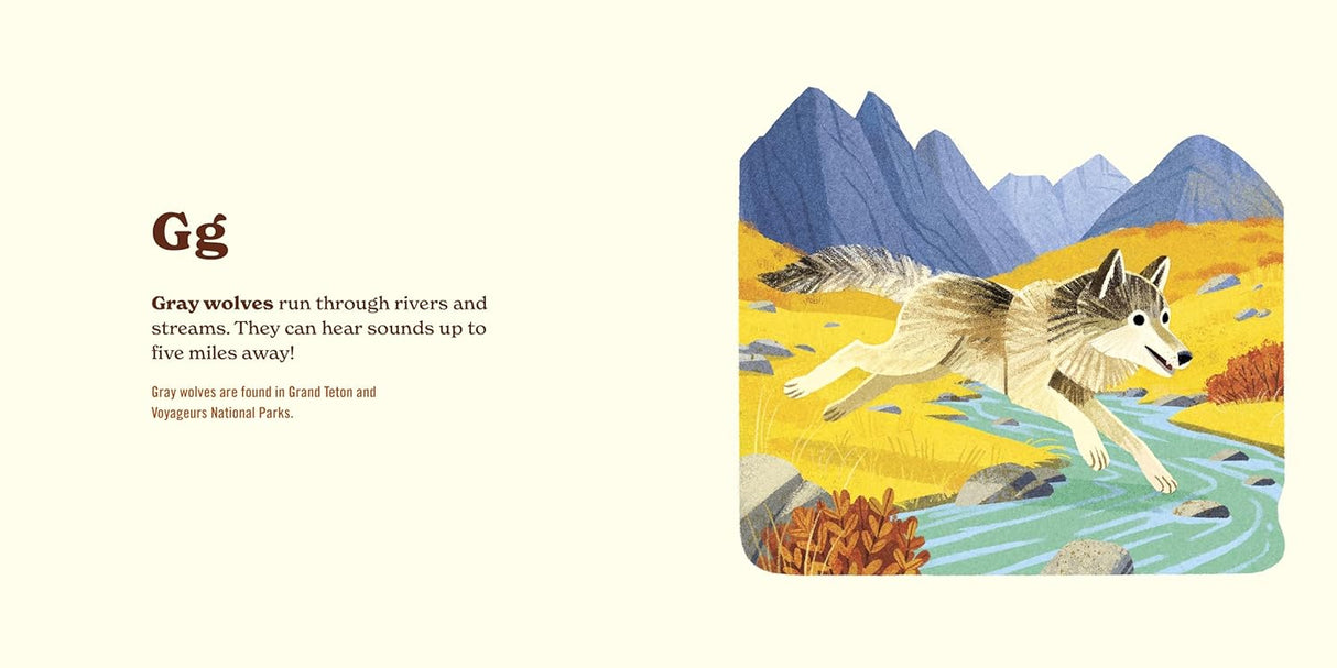 ABC Adventure Bundle - Park Pass + Animals of the National Parks: An Alphabet Book - US Park Pass