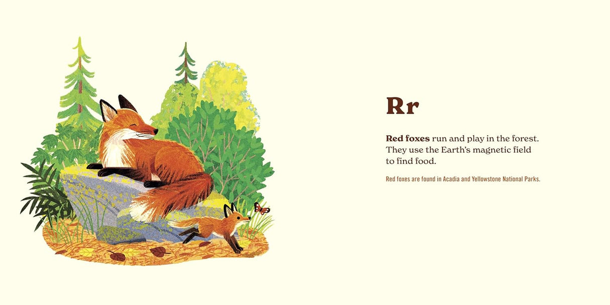 ABC Adventure Bundle - Park Pass + Animals of the National Parks: An Alphabet Book - US Park Pass