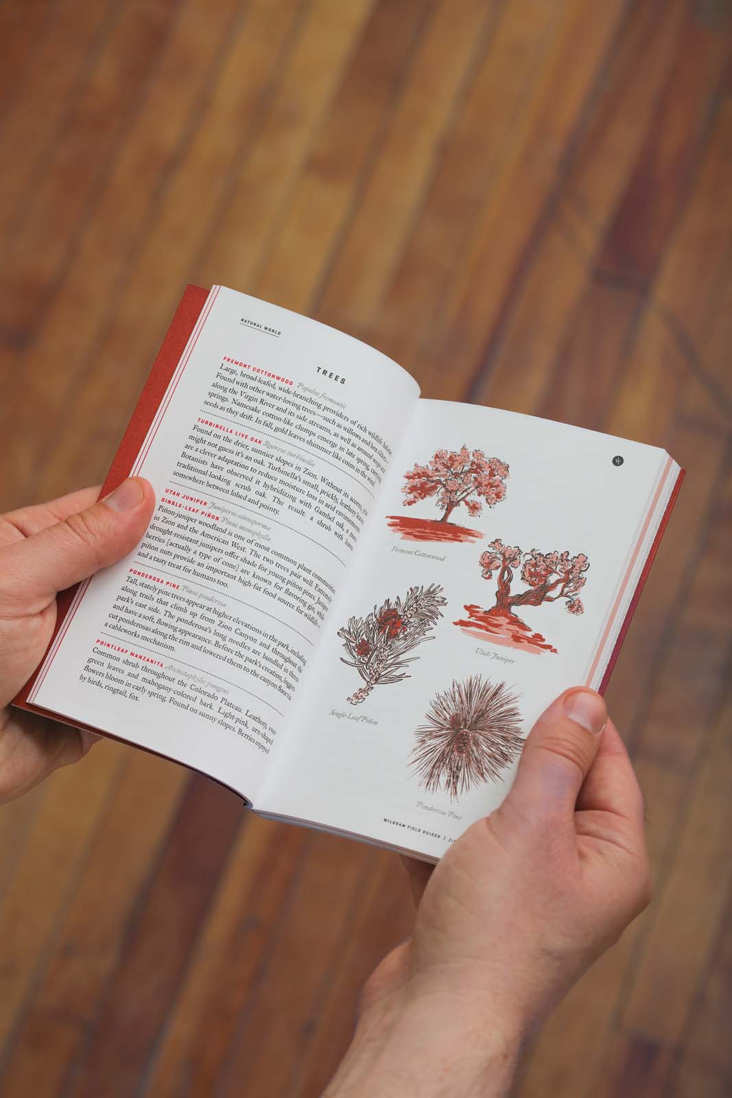 Illustrated National Park Field Guides - US Park Pass