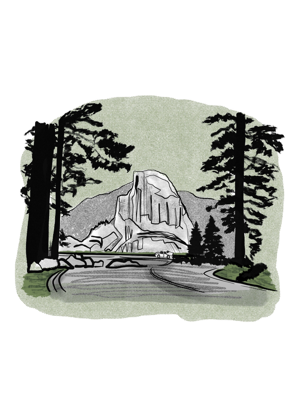 Illustrated National Park Field Guides - US Park Pass