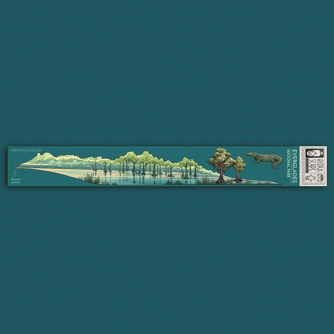 Everglades Infinity Sticker - US Park Pass