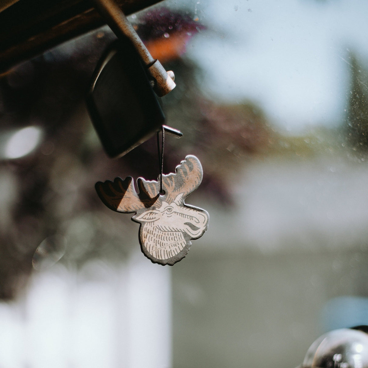 Grand Teton National Park Air Freshener - US Park Pass