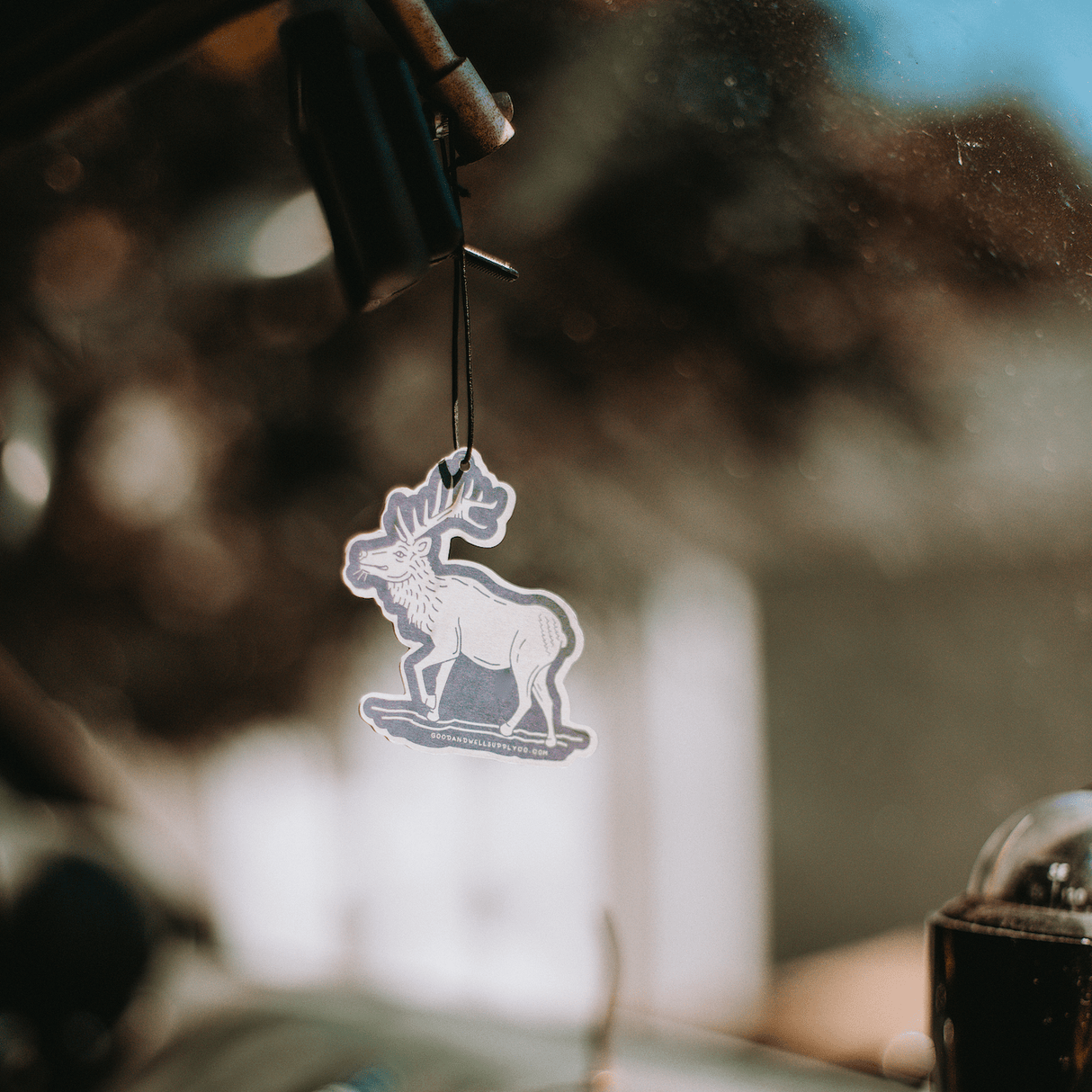 Rainier National Park Air Freshener - US Park Pass