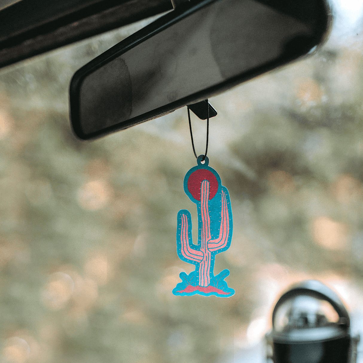 Saguaro National Park Air Freshener - US Park Pass