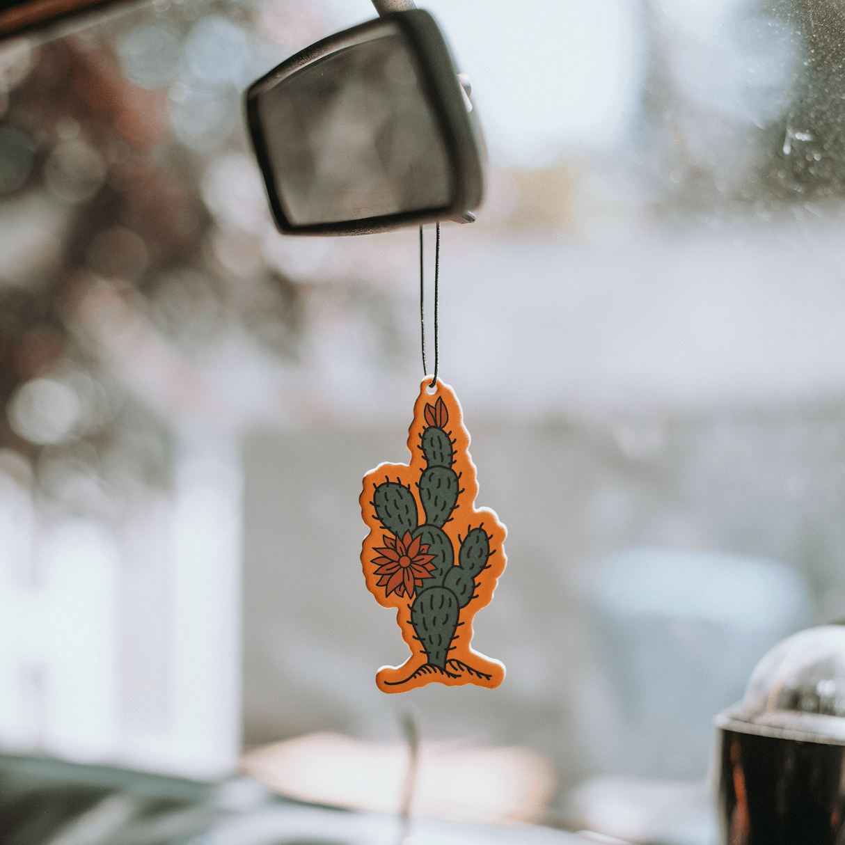 Zion National Park Air Freshener - US Park Pass