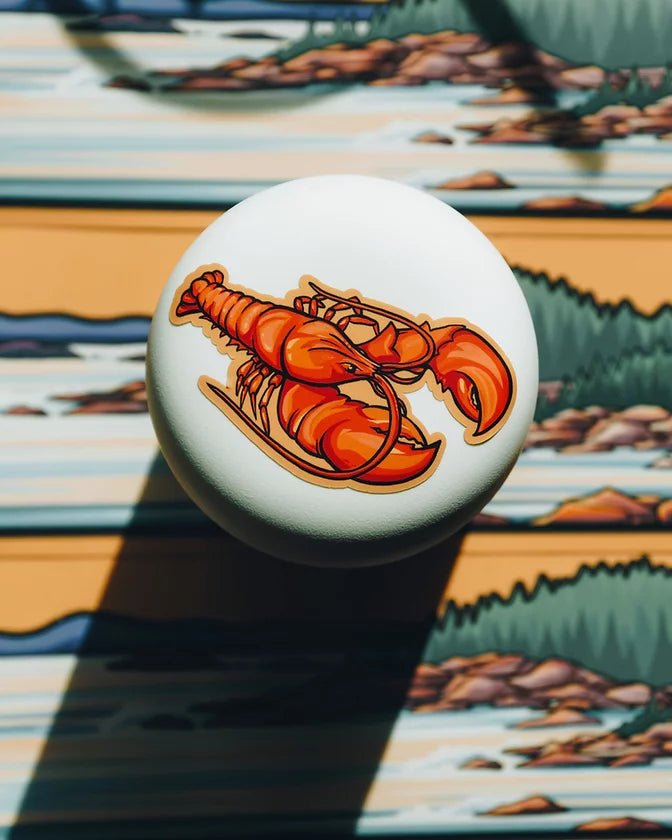 ACADIA Infinity Sticker - US Park Pass