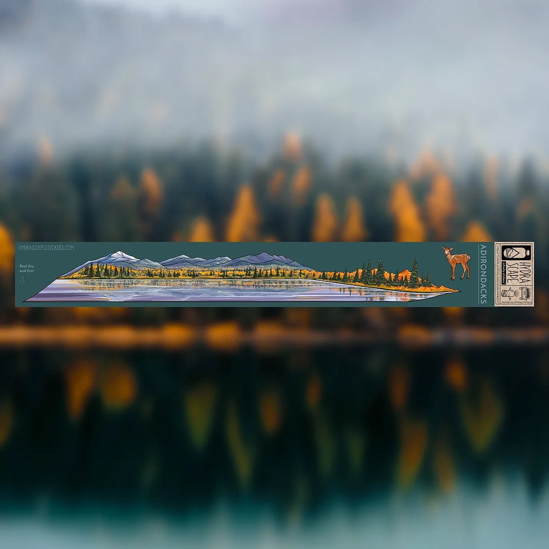 Adirondacks Infinity Sticker - US Park Pass