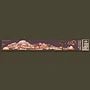 Joshua Tree Infinity Sticker - US Park Pass