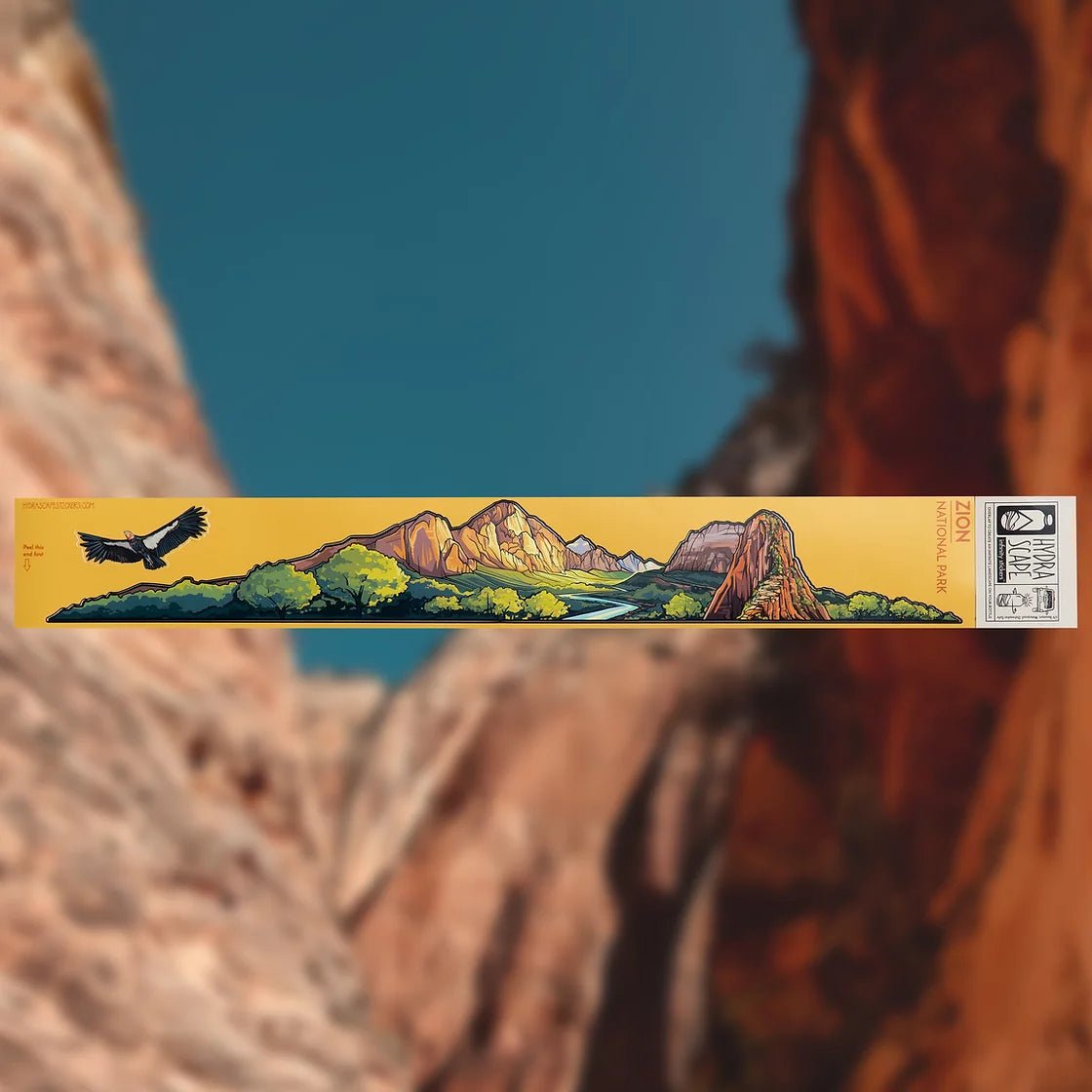 ZION Infinity Sticker - US Park Pass