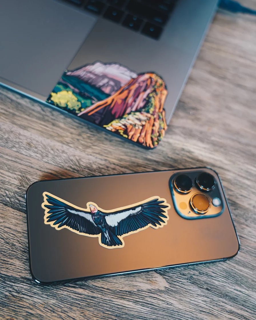 ZION Infinity Sticker - US Park Pass