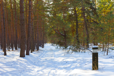 January Spotlight: 5 National Parks to Kick Off the Year Right - US Park Pass