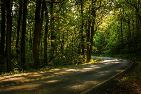 Top Scenic Drives in September: Where Fall Magic Meets the Open Road - US Park Pass