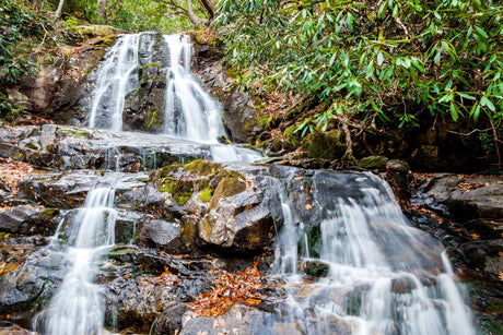 Winter Wildlife Watch: 5 Parks for Incredible February Sightings - US Park Pass
