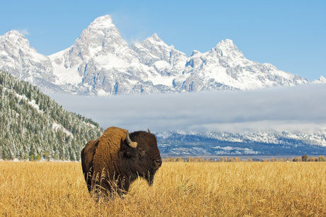 September Spotlight: 5 National Parks That Shine in September - US Park Pass