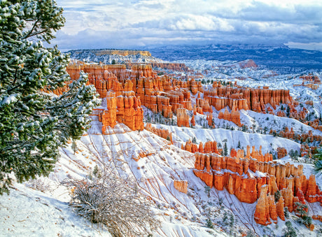 December Spotlight: Top 5 National Parks to Visit in December - US Park Pass