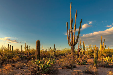 March Spotlight: Top 5 National Parks to Visit This Month