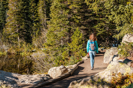 Hiking Guide: 6 Scenic Trails for Every Experience Level - US Park Pass