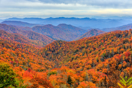 October Spotlight: Top 5 National Parks to Visit This Fall
