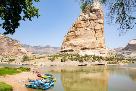 National Fossil Day — October 12: Discover the Ancient Stories Beneath Your Feet - US Park Pass
