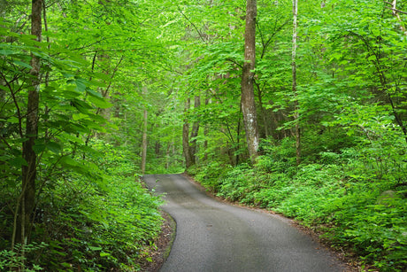 7 Hidden Gems in National Parks to Visit Before Summer Crowds - US Park Pass