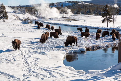 The 5 Best National Parks to Visit in Winter - US Park Pass
