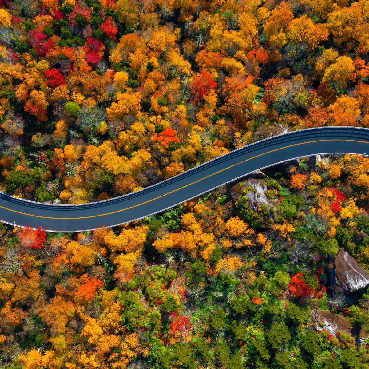 6 Scenic Drives for the Fall: Late Season Color & Year-Round Views – US ...