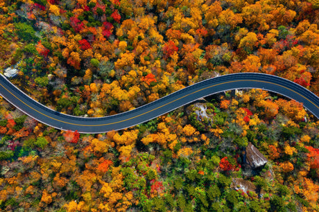 6 Scenic Drives for the Fall: Late Season Color & Year-Round Views - US Park Pass