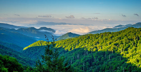 5 National Parks Perfect for a Family Trip This Summer