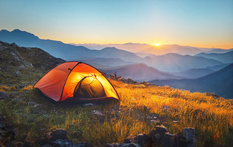 Camping Tips and Gear Guide for Summer Adventures