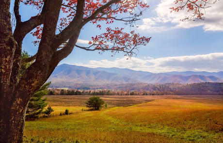 The Crowd-Free April Guide: 5 Parks to Visit Before the Summer Rush - US Park Pass