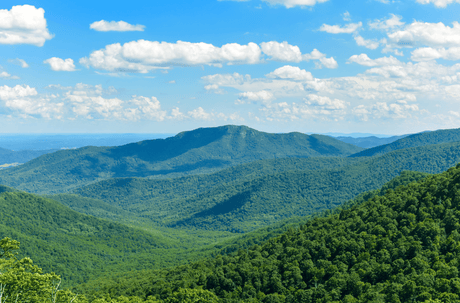 April Spotlight: 5 Best U.S. National Parks to Visit in April - US Park Pass