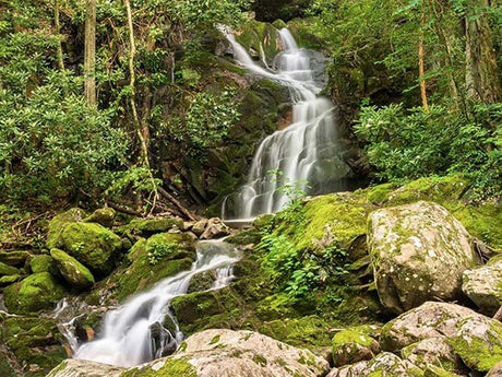 March Spotlight: Embracing the Early Signs of Spring in America's National Parks - US Park Pass