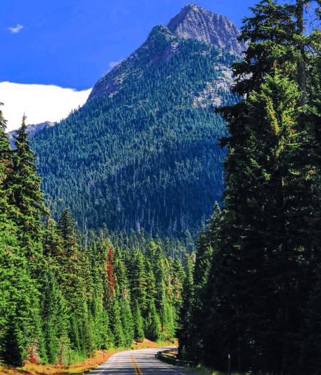 Discovering Hidden Gems in America's National Parks - US Park Pass