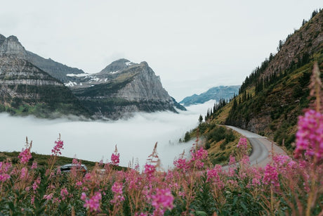 The Best Time to Visit National Parks in the United States - US Park Pass