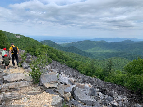 Shenandoah National Park: Top Attractions and Must-Do Activities - US Park Pass