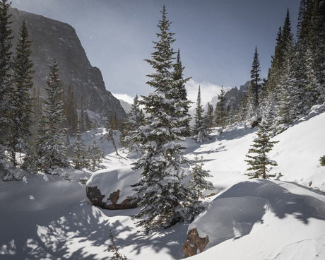 Rocky Mountain National Park: A Comprehensive Travel Guide - US Park Pass