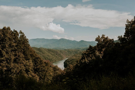 Exploring Great Smoky Mountains National Park: A Comprehensive Travel Guide - US Park Pass