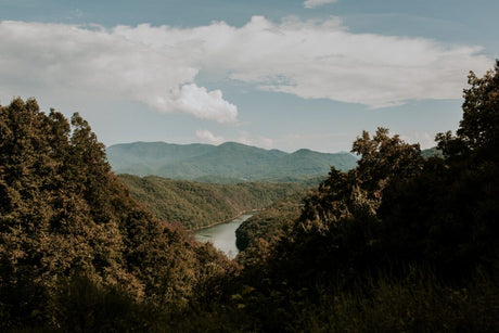 Exploring Great Smoky Mountains National Park: A Comprehensive Travel Guide