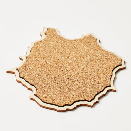 The Mt. Rainier Coaster Set - US Park Pass