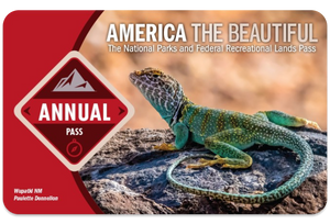America the Beautiful National Park Pass - Expires March 31, 2025