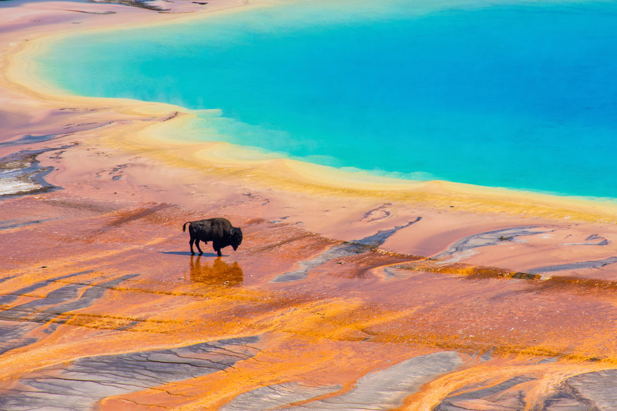 America the Beautiful National Park Pass