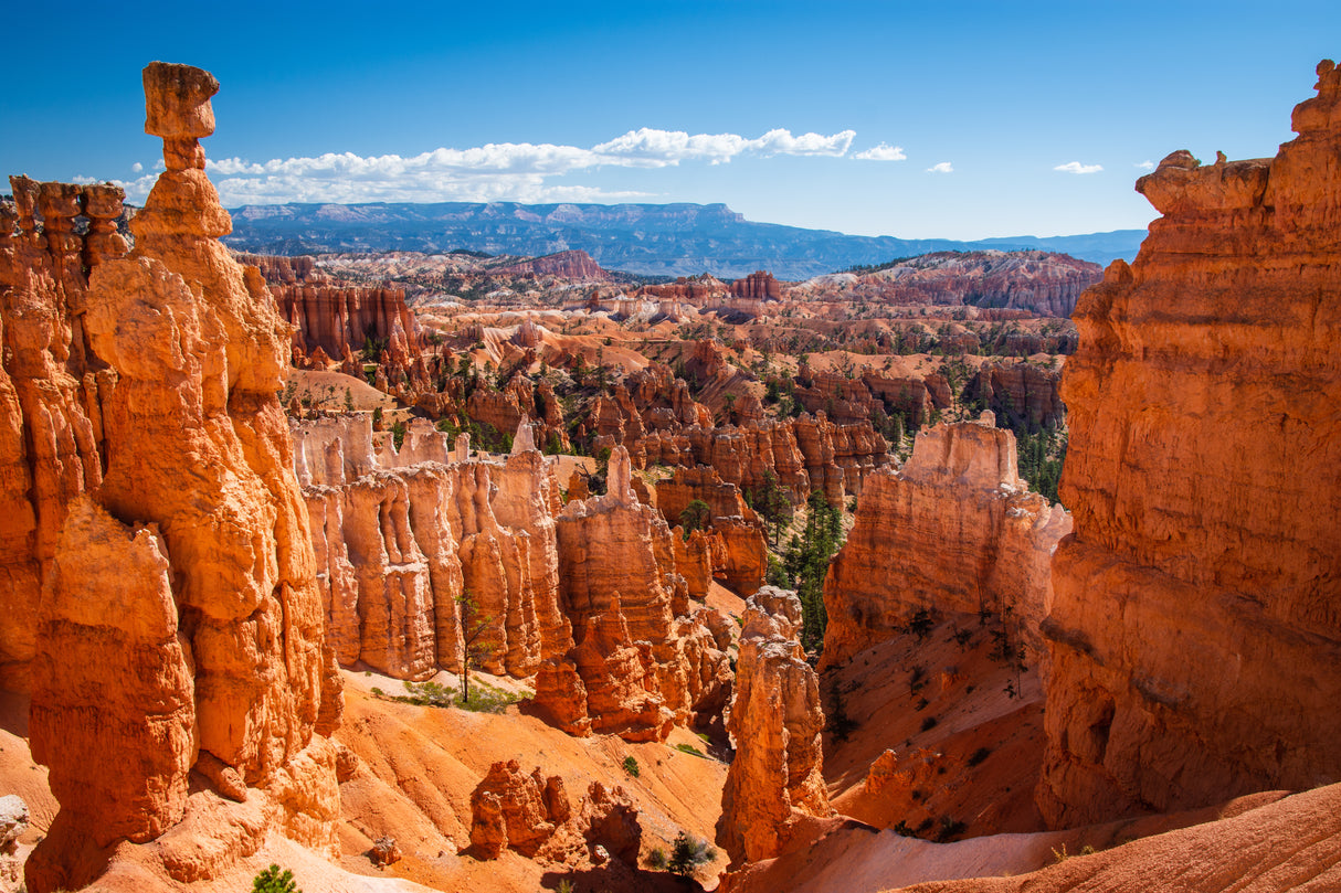 America the Beautiful National Park Pass