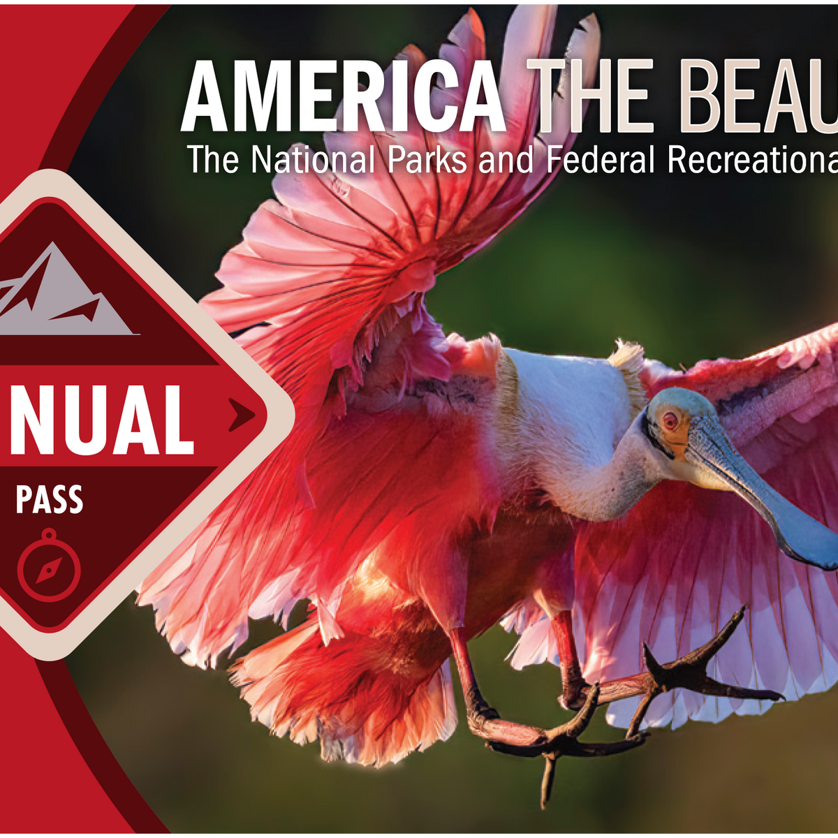 America the Beautiful National Park Pass