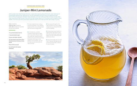 National Geographic National Parks Cookbook - US Park Pass