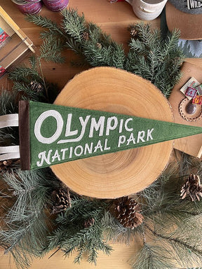 Olympic National Park Pennat - US Park Pass