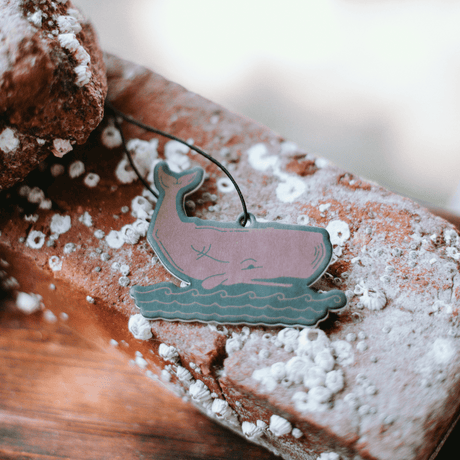 Acadia National Park Air Freshener - US Park Pass