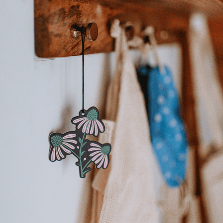 Badlands National Park Air Freshener - US Park Pass